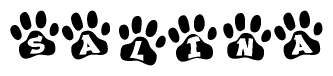 The image shows a row of animal paw prints, each containing a letter. The letters spell out the word Salina within the paw prints.
