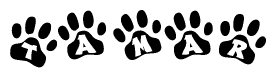 The image shows a series of animal paw prints arranged horizontally. Within each paw print, there's a letter; together they spell Tamar
