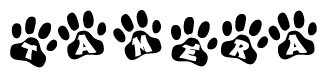 The image shows a row of animal paw prints, each containing a letter. The letters spell out the word Tamera within the paw prints.