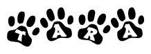 The image shows a series of animal paw prints arranged horizontally. Within each paw print, there's a letter; together they spell Tara