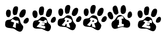 The image shows a series of animal paw prints arranged in a horizontal line. Each paw print contains a letter, and together they spell out the word Terrie.