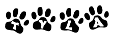 The image shows a series of animal paw prints arranged horizontally. Within each paw print, there's a letter; together they spell Tyla