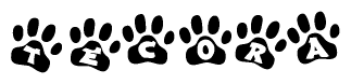 The image shows a series of animal paw prints arranged in a horizontal line. Each paw print contains a letter, and together they spell out the word Tecora.