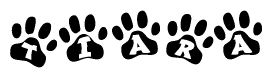 The image shows a series of animal paw prints arranged in a horizontal line. Each paw print contains a letter, and together they spell out the word Tiara.