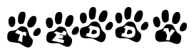The image shows a series of animal paw prints arranged in a horizontal line. Each paw print contains a letter, and together they spell out the word Teddy.
