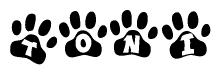 The image shows a series of animal paw prints arranged in a horizontal line. Each paw print contains a letter, and together they spell out the word Toni.