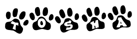 The image shows a series of animal paw prints arranged in a horizontal line. Each paw print contains a letter, and together they spell out the word Tosha.