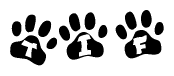 The image shows a row of animal paw prints, each containing a letter. The letters spell out the word Tif within the paw prints.