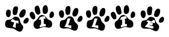 The image shows a row of animal paw prints, each containing a letter. The letters spell out the word Tillie within the paw prints.
