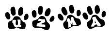 The image shows a series of animal paw prints arranged horizontally. Within each paw print, there's a letter; together they spell Uzma