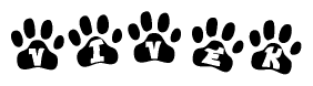 The image shows a row of animal paw prints, each containing a letter. The letters spell out the word Vivek within the paw prints.
