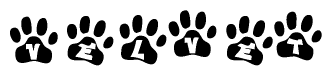 The image shows a series of animal paw prints arranged in a horizontal line. Each paw print contains a letter, and together they spell out the word Velvet.