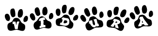 The image shows a series of animal paw prints arranged in a horizontal line. Each paw print contains a letter, and together they spell out the word Vidura.