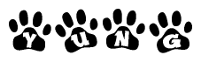 The image shows a series of animal paw prints arranged in a horizontal line. Each paw print contains a letter, and together they spell out the word Yung.