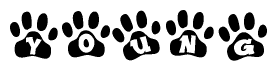 The image shows a series of animal paw prints arranged horizontally. Within each paw print, there's a letter; together they spell Young