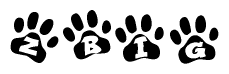 The image shows a row of animal paw prints, each containing a letter. The letters spell out the word Zbig within the paw prints.