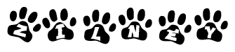 The image shows a series of animal paw prints arranged in a horizontal line. Each paw print contains a letter, and together they spell out the word Zilney.