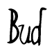 The image is a stylized text or script that reads 'Bud' in a cursive or calligraphic font.