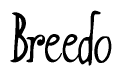 The image is a stylized text or script that reads 'Breedo' in a cursive or calligraphic font.