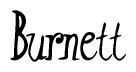 The image is of the word Burnett stylized in a cursive script.