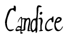 The image is a stylized text or script that reads 'Candice' in a cursive or calligraphic font.