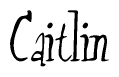 The image is of the word Caitlin stylized in a cursive script.