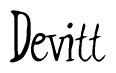 The image is of the word Devitt stylized in a cursive script.