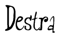The image is a stylized text or script that reads 'Destra' in a cursive or calligraphic font.