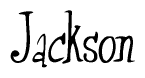 The image is a stylized text or script that reads 'Jackson' in a cursive or calligraphic font.