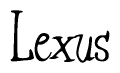 The image is of the word Lexus stylized in a cursive script.
