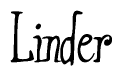 The image is of the word Linder stylized in a cursive script.