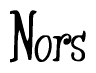 The image is of the word Nors stylized in a cursive script.