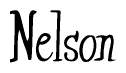 The image contains the word 'Nelson' written in a cursive, stylized font.