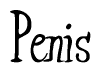 The image contains the word 'Penis' written in a cursive, stylized font.