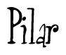 The image is a stylized text or script that reads 'Pilar' in a cursive or calligraphic font.
