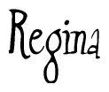 The image contains the word 'Regina' written in a cursive, stylized font.