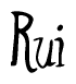 The image is of the word Rui stylized in a cursive script.