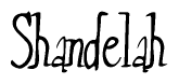 The image is a stylized text or script that reads 'Shandelah' in a cursive or calligraphic font.