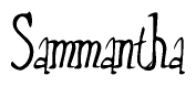 The image is of the word Sammantha stylized in a cursive script.