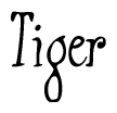 The image contains the word 'Tiger' written in a cursive, stylized font.