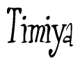 The image is of the word Timiya stylized in a cursive script.