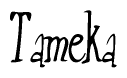 The image contains the word 'Tameka' written in a cursive, stylized font.