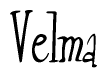 The image contains the word 'Velma' written in a cursive, stylized font.
