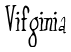 The image contains the word 'Vifginia' written in a cursive, stylized font.