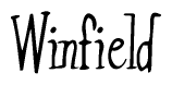 The image is of the word Winfield stylized in a cursive script.