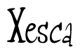 The image contains the word 'Xesca' written in a cursive, stylized font.