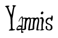 The image is of the word Yannis stylized in a cursive script.