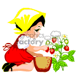 The clipart image depicts a cartoon girl in a red dress and yellow hat picking strawberries from a strawberry plant. She is sitting and has a brown basket beside her.