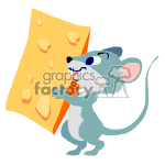 Little mouse carrying a big piece of cheese.