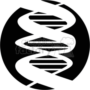 DNA string clipart.